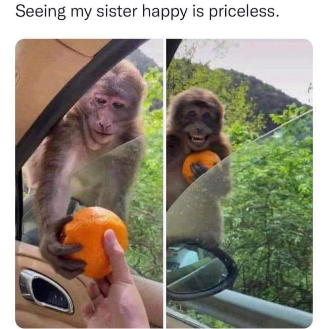 The meme features a monkey in a car, with its head and arms sticking out of the window, holding an orange in its hand. The monkey is smiling and looks happy, as if it's enjoying the orange. The text at the top of the image reads "Seeing my sister happy is priceless."